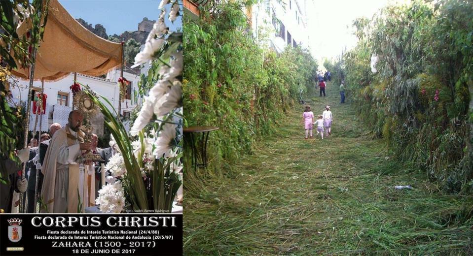 Casas Paraje Natural ซาอารา เด ลาเซียร์รา ภายนอก รูปภาพ
